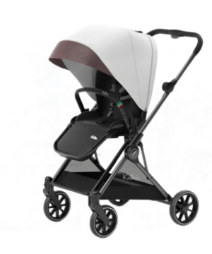 Kathie Newborn Baby Stroller With Carseat