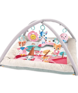 Little Angel – Baby Play Mat Activity Gym