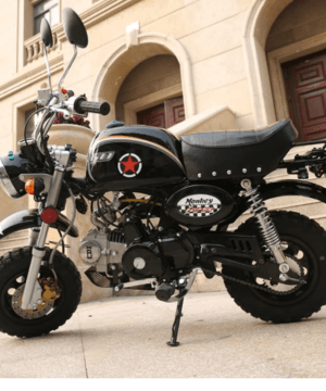 Mini Gas Motorcycle for Adult and Teens